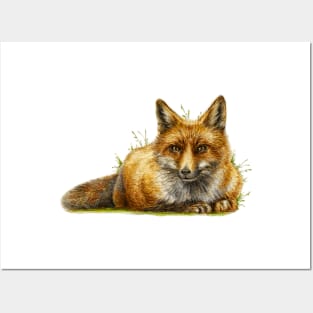 Chilling fox illustration Posters and Art